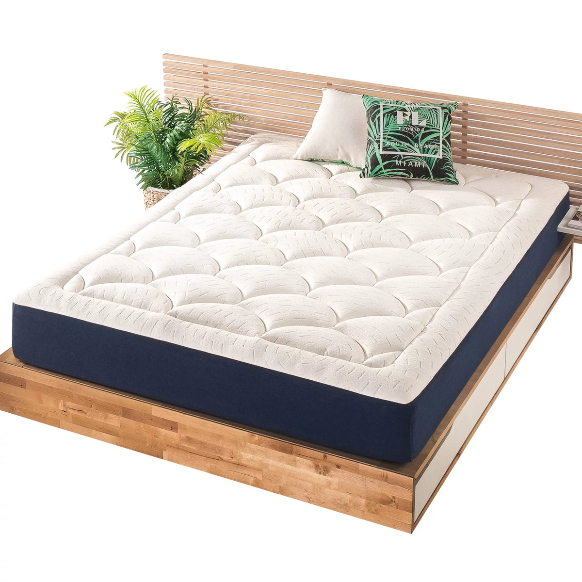 Memory Foam Mattress Plush Pillow Top King F223