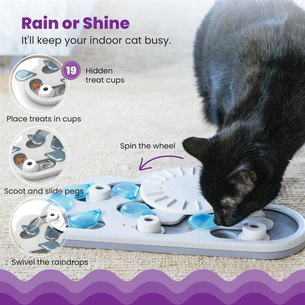 Cat Puzzle Game V819633