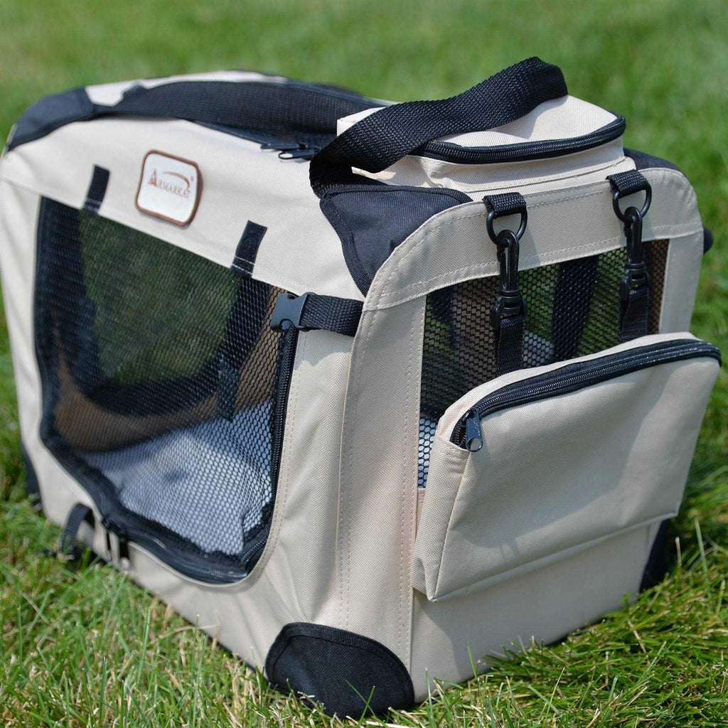Pet Carrier B29119