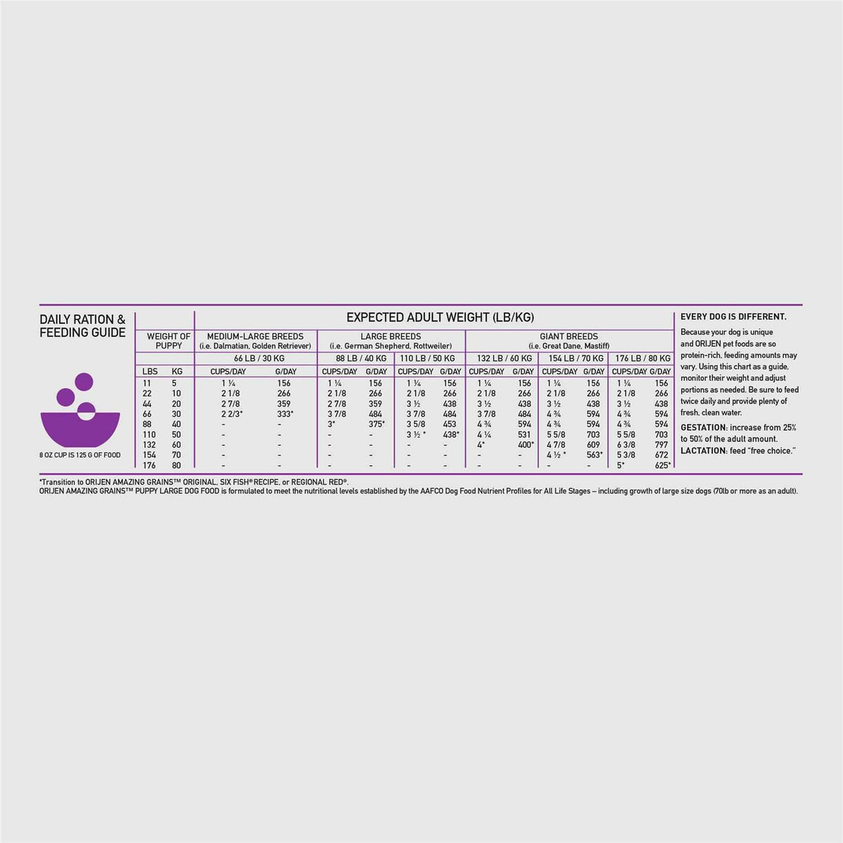 Large Breed Puppy Dry Dog Food N172