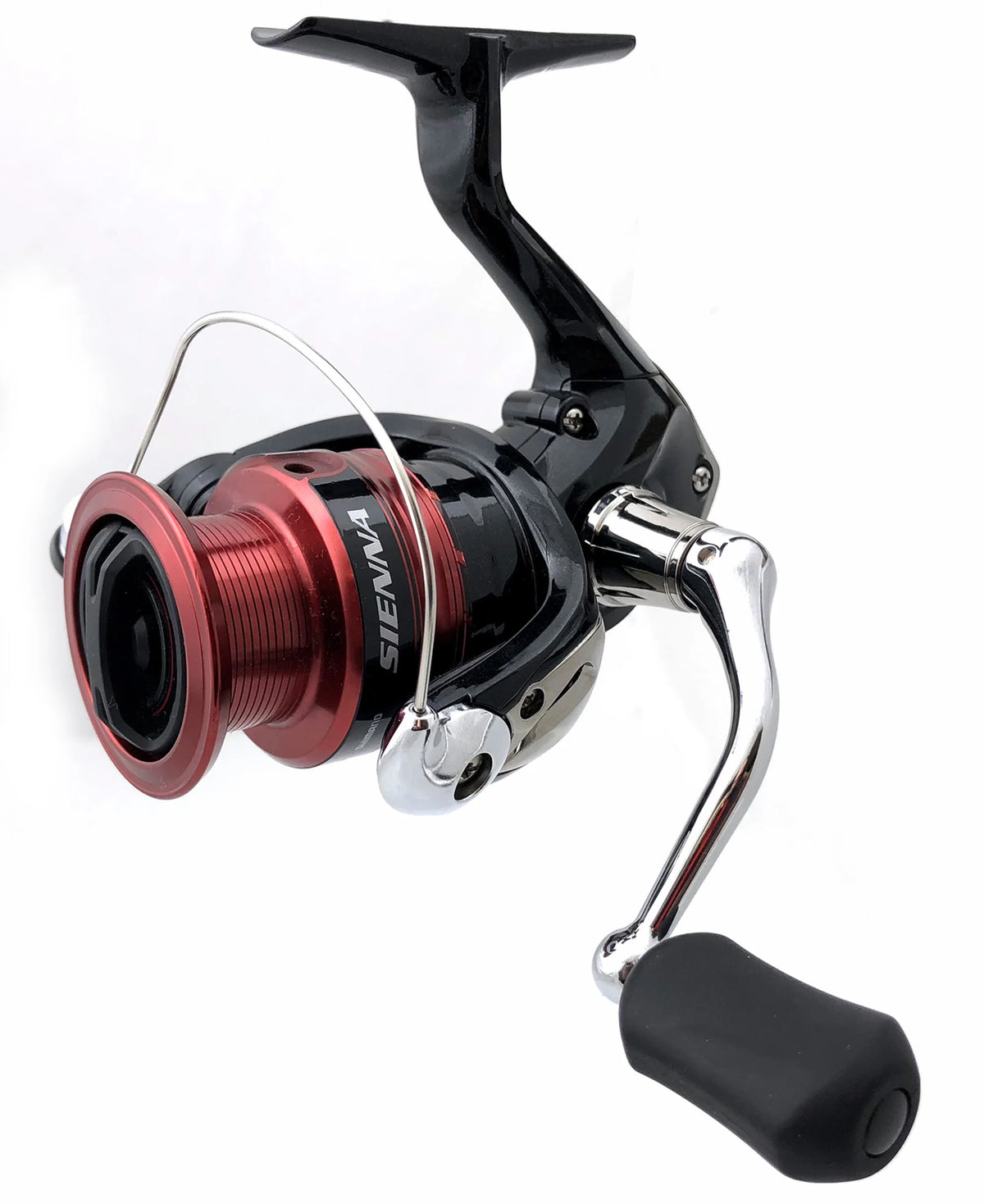 Fishing D600449