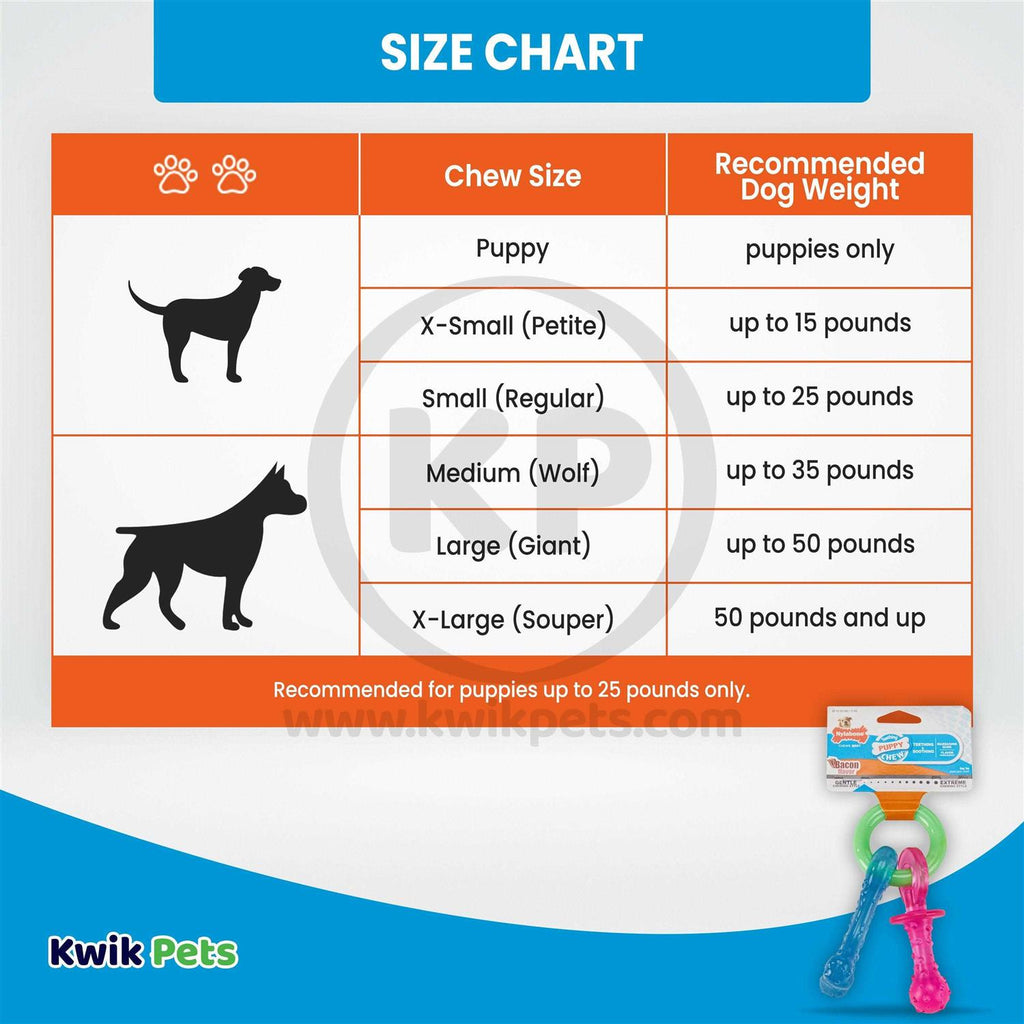 Puppy Chew Teething Pacifier R79526