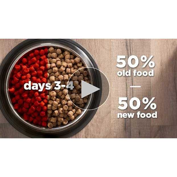 Adult Cat Dry Food Salmon D292898