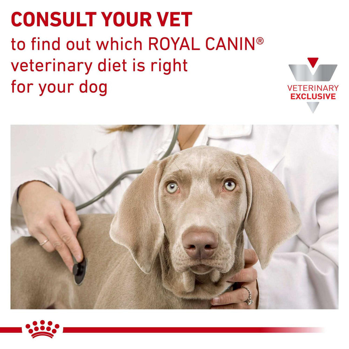 Veterinary Diet Gastrointestinal Fiber Response Dry Dog Food I3091