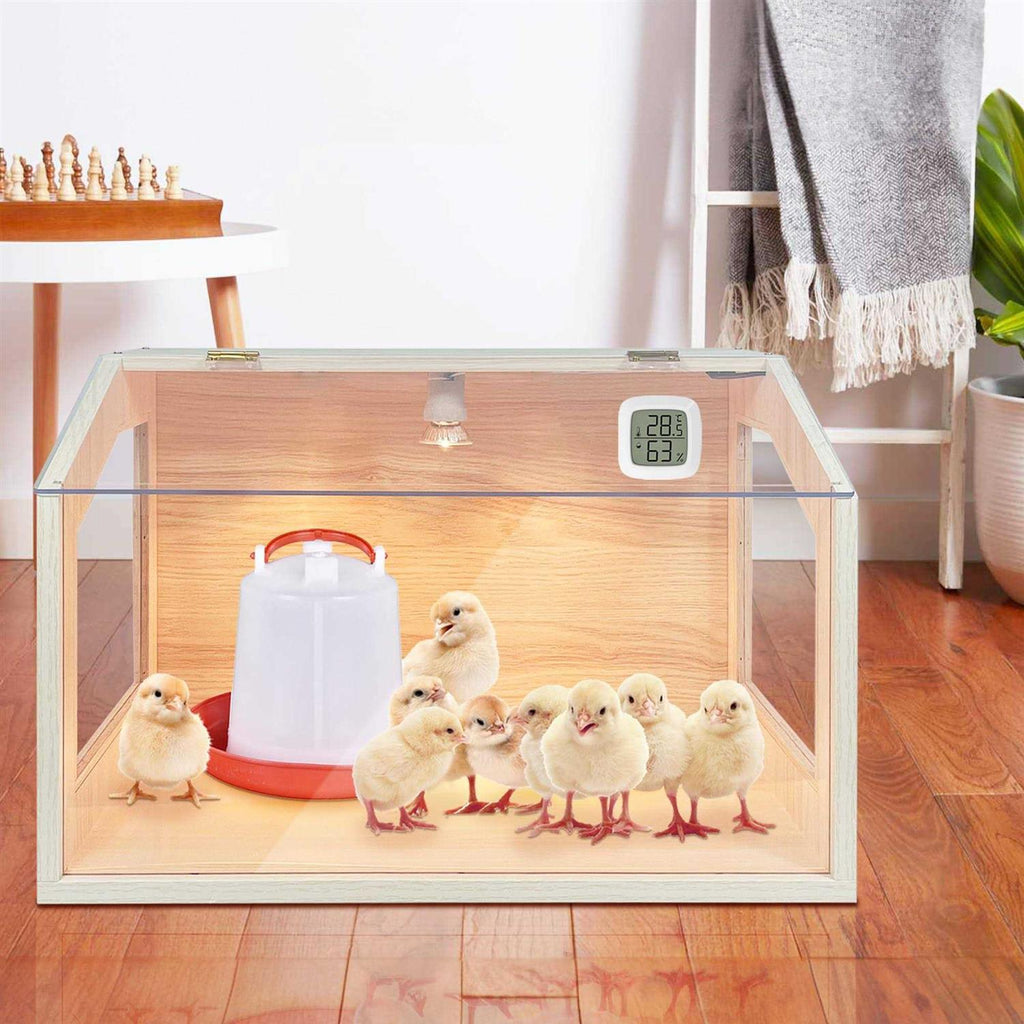 Intelligent Brooder Box with Built-in Heating Lamps R422