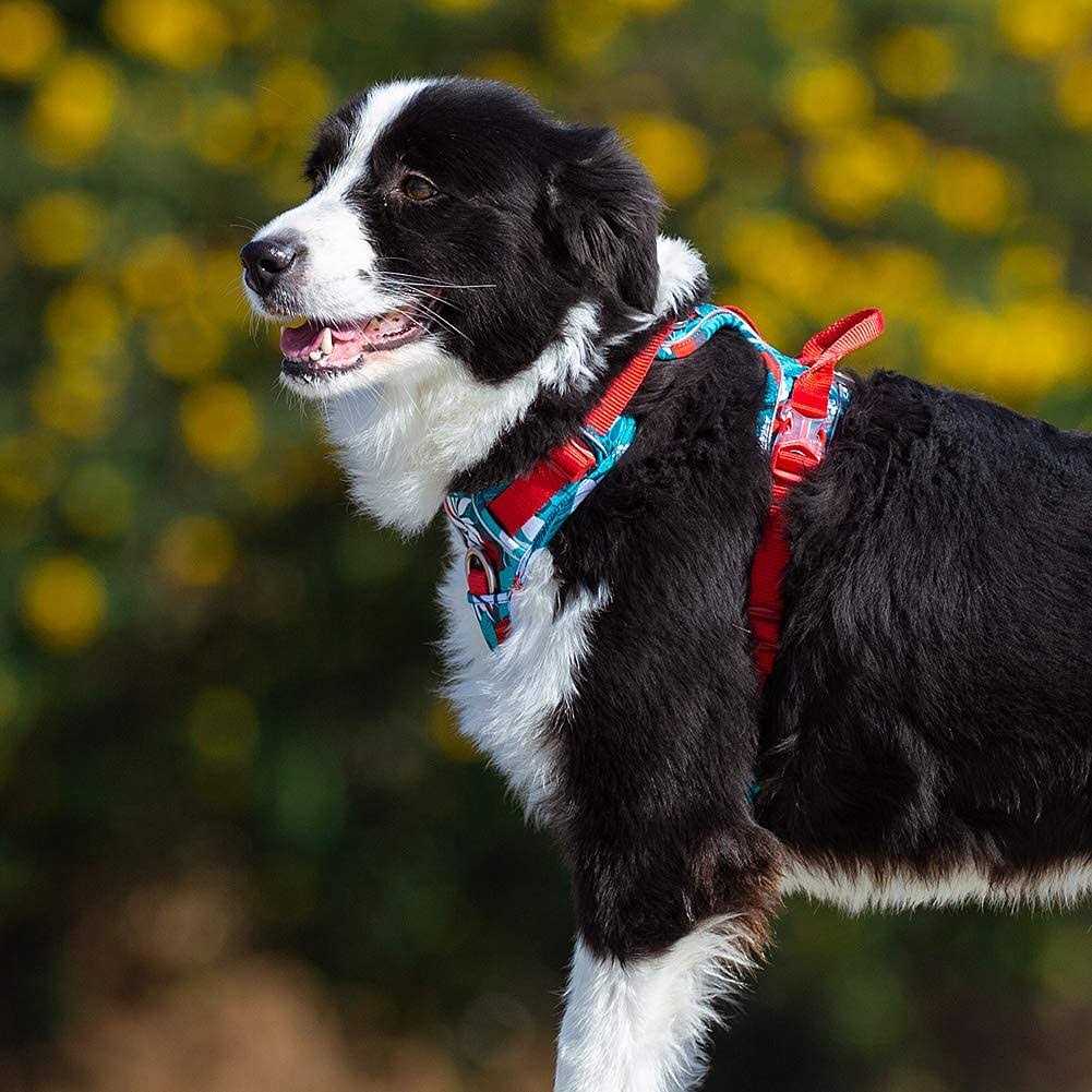 No Pull Dog Harness with Quick-Release Neck Strap H140