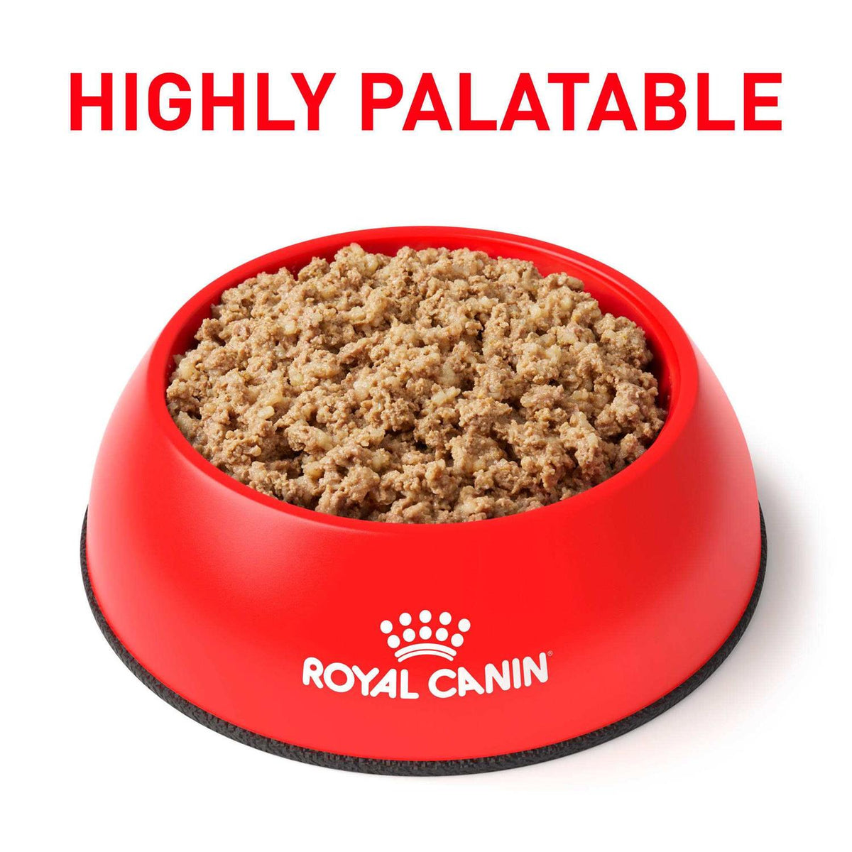 Gastrointestinal Loaf Canned Dog Food D5846